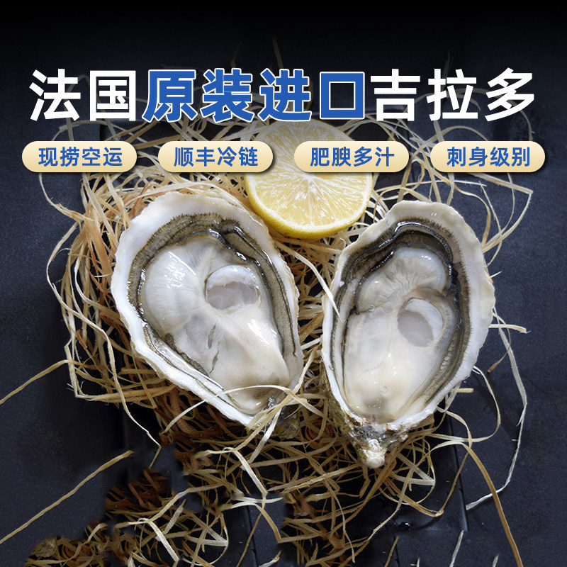 法国进口鲜活即食吉拉多生蚝刺身级生吃带壳大海蛎原箱顺丰冷链