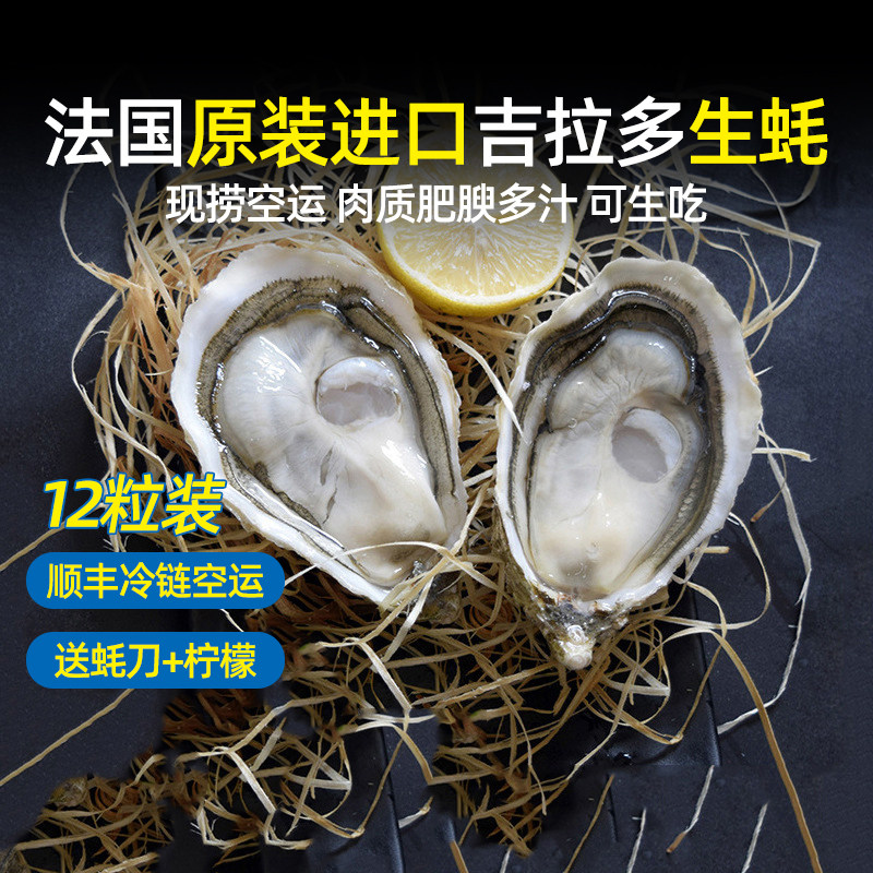 法国进口鲜活即食吉拉多生蚝刺身级生吃带壳大海蛎12粒顺丰冷链