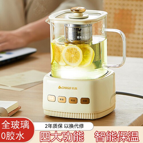 德国养生电茶炉小型办公室煮茶器