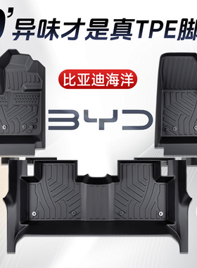 比亚迪海豹06/05/DMI/EV海狮07海豚海鸥脚垫专用全包围汽车用品