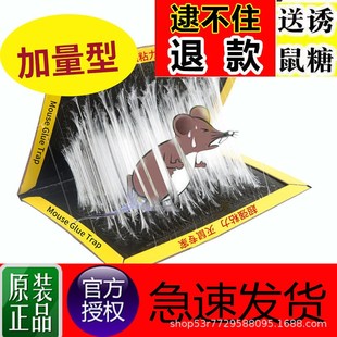 粘鼠板强力家用老鼠贴灭鼠捕鼠驱鼠沾抓老鼠神器粘老鼠板胶一窝端