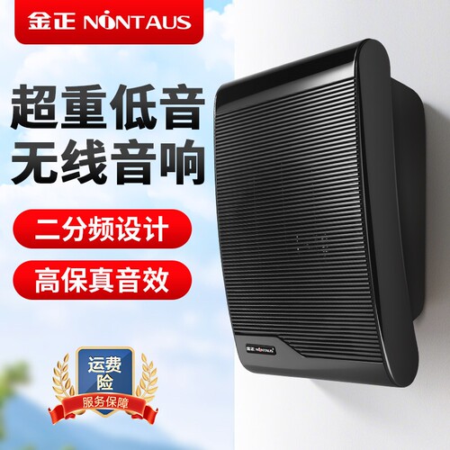 金正无线壁挂式音响挂墙式音箱会
