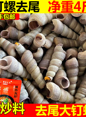 钉螺鲜活去尾大号海螺锥螺4斤捞汁小海鲜麻辣钉螺新鲜水产商用