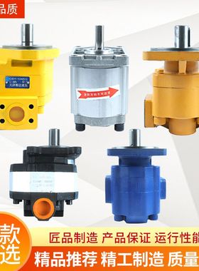 小装载机铲车液压齿轮油泵配件大全CBFC18 25 50行走泵大泵工作泵