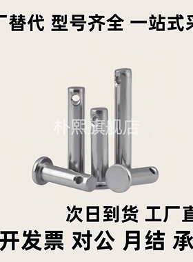 铰链销SHCCG SHCDG SHCCGH3 4 5 6 8 10-10 15 20 25 30CCG CCGH