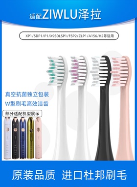 适配日本ziwlu泽拉电动牙刷头P1/X9/SDlSP1/FSP2通用清洁款替换头