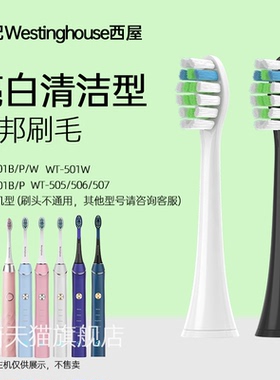 适配westinghouse西屋电动牙刷头通用WT501W/301BPW/401B/505/6/7