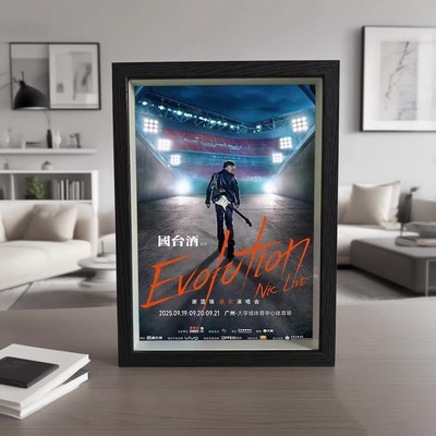 谢霆锋演唱会应援棒收纳立体相框