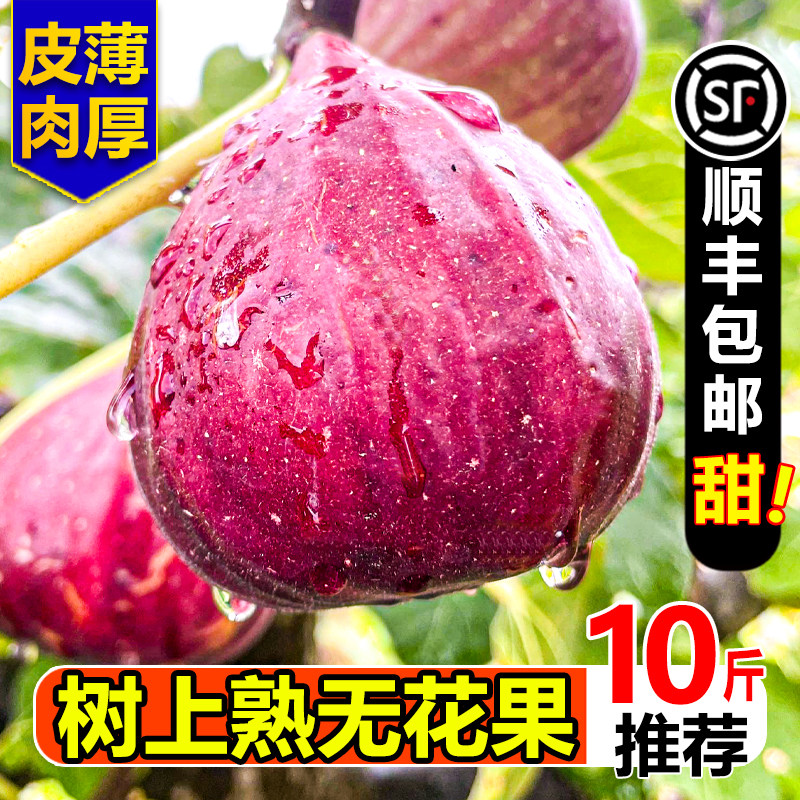 【顺丰次日达】紫皮无花果10斤
