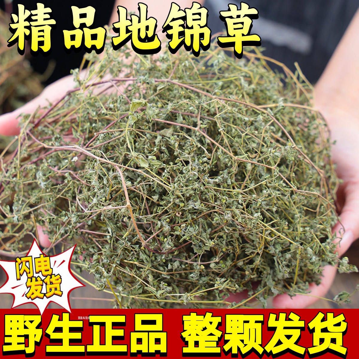 野生地锦草中药材500g自然晾晒干货血见愁奶汁浆草小虫卧蛋草泡水