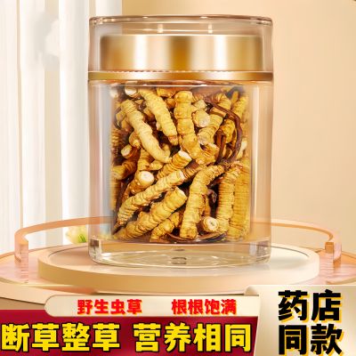 冬虫夏草断虫草正宗冬虫夏草断草虫草正品西藏冬虫夏草新鲜
