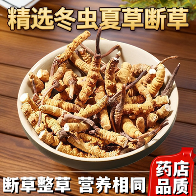 西藏冬虫夏草正品野生虫草