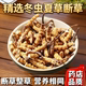 藏区冬虫夏草正品 野生虫草干货正宗头期断虫草煲汤泡酒实惠非那曲