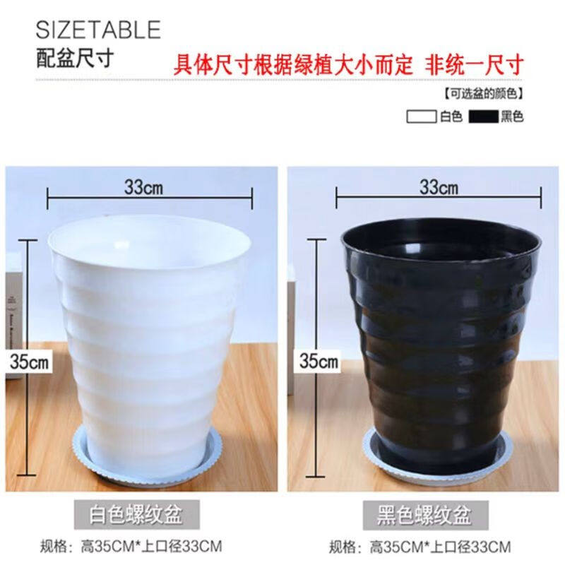 中梦发财树盆栽室内招财树绿植物客厅办公室1.7-1.8米独杆款-福字使用感如何?