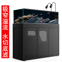 赫希极窄溢流野采溪流缸南美原生缸创意造景生态鱼缸屏风水切底滤