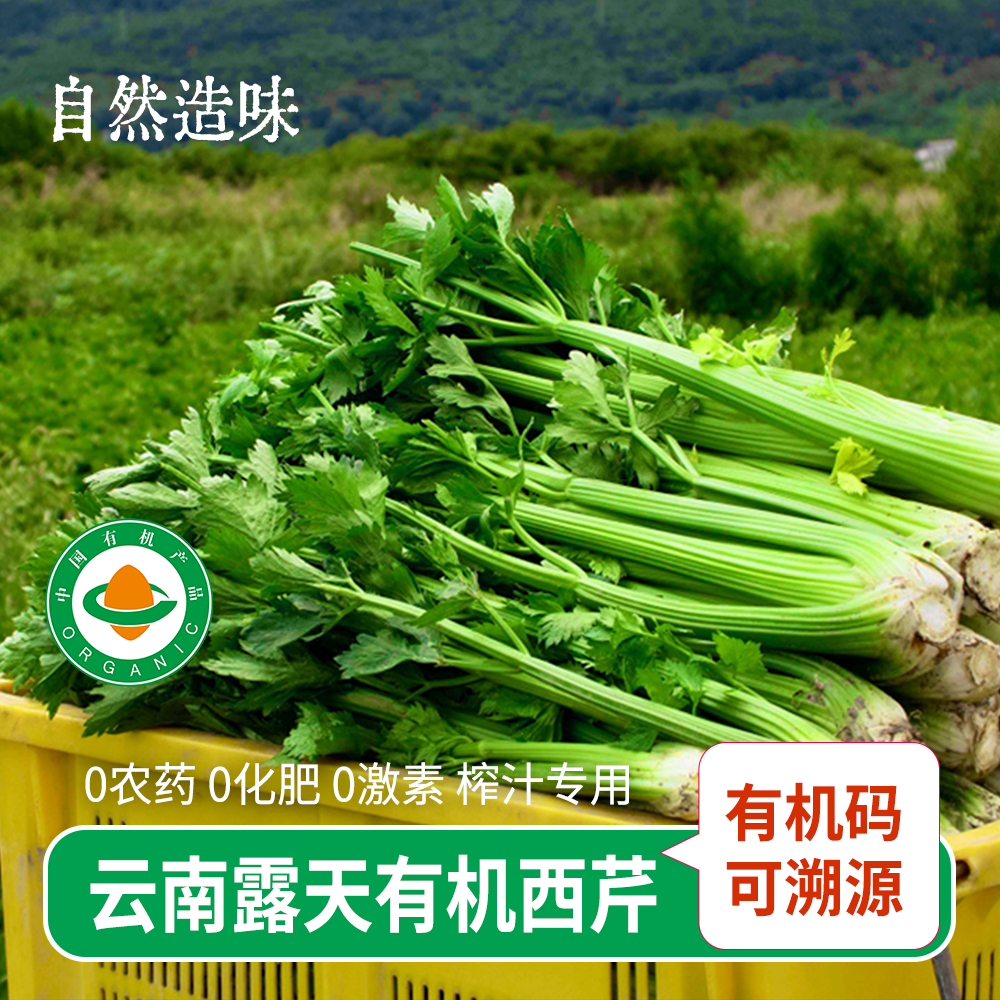 9斤有机西芹露天农场源头新鲜芹菜夏季榨汁西洋芹沙拉炒菜健身