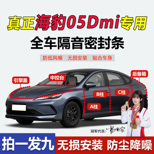 比亚迪海豹05Dmi专用隔音密封条