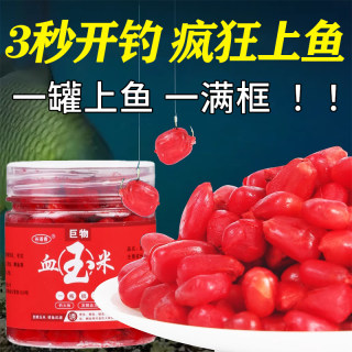 谷道香钓鱼饵料新鲜玉米秋冬季挂钩颗粒珠珠专攻青鲤鲶黑桂鱼鱼饵