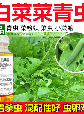 白菜杀虫剂正品农药大全杀虫药菜青虫卷叶暝打白菜地虫子正品药