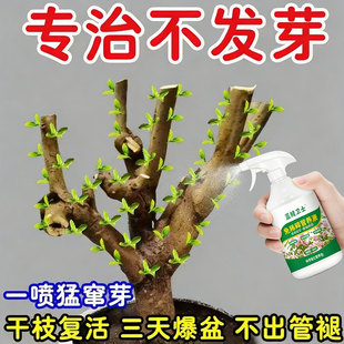 【枯树一喷复活】植物速效急救液花卉绿植多肉水培通用型拯救植物
