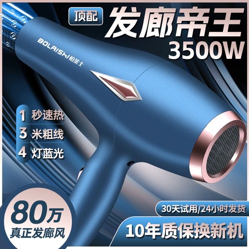德国电吹风机家用大功率发廊专用