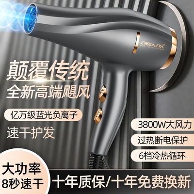 德系电吹风机家用大功率理发店专