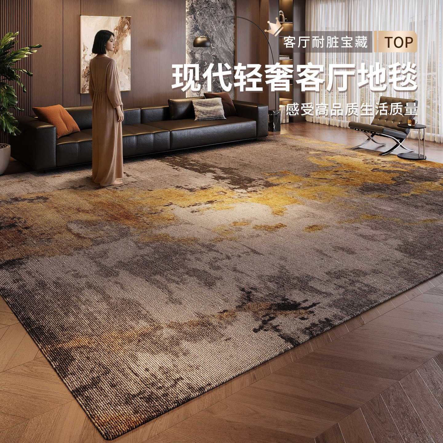 诗缇客厅地毯玄关耐脏好打理地垫