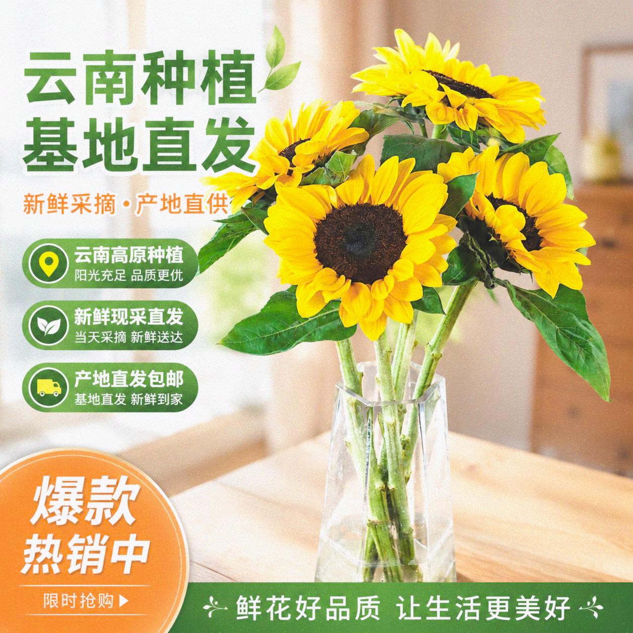 向日葵鲜切花5枝推荐太阳花