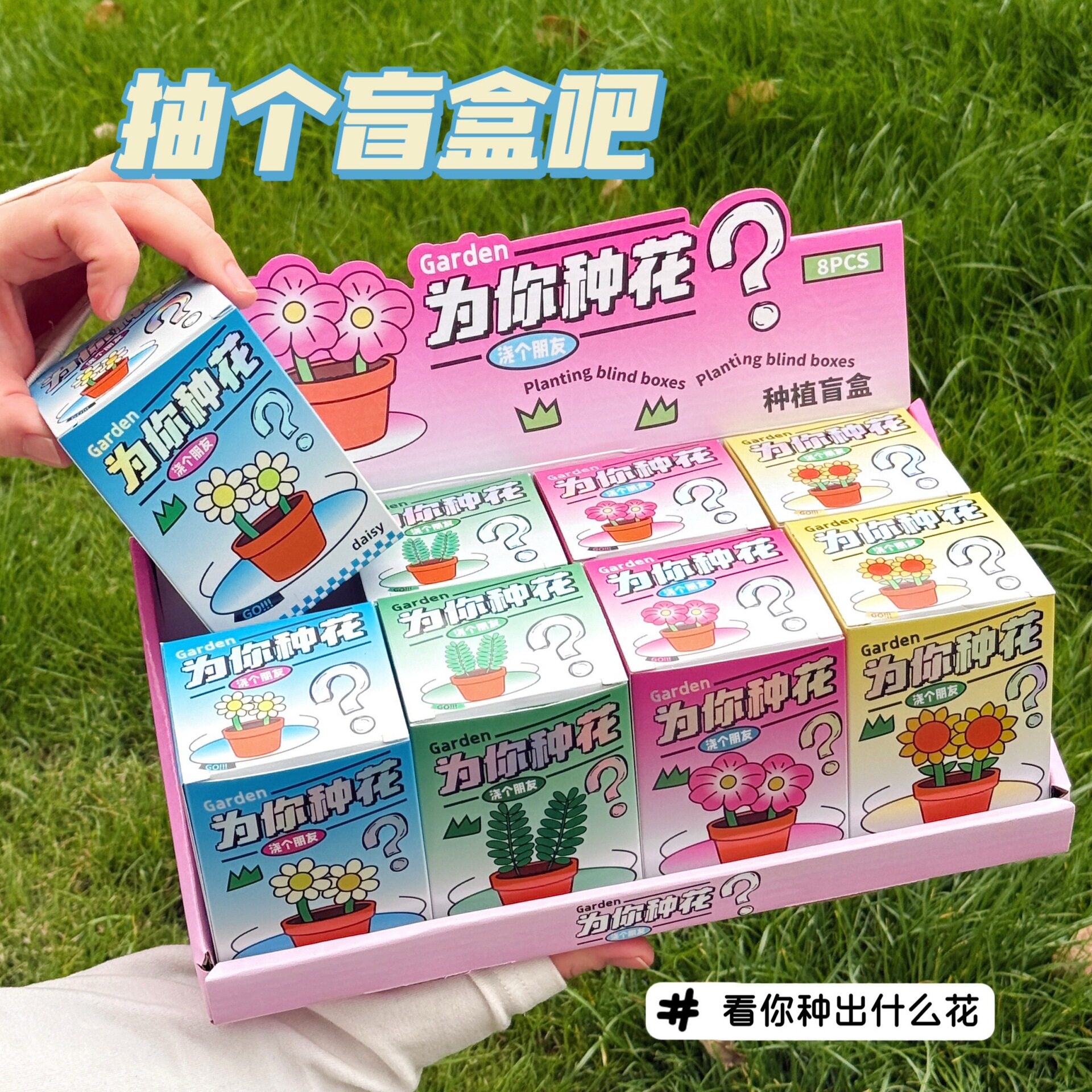 客厅卧室书房特价创意花朵室内