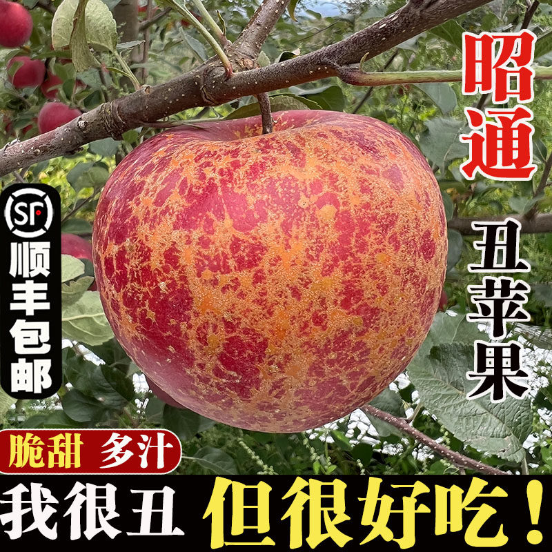 顺丰云南昭通丑苹果冰糖心现摘新鲜红露水果甜当季脆甜5/10斤整箱,水产肉类/新鲜蔬果/熟食,苹果,淘宝优惠券,粉丝福利购,淘宝优惠卷