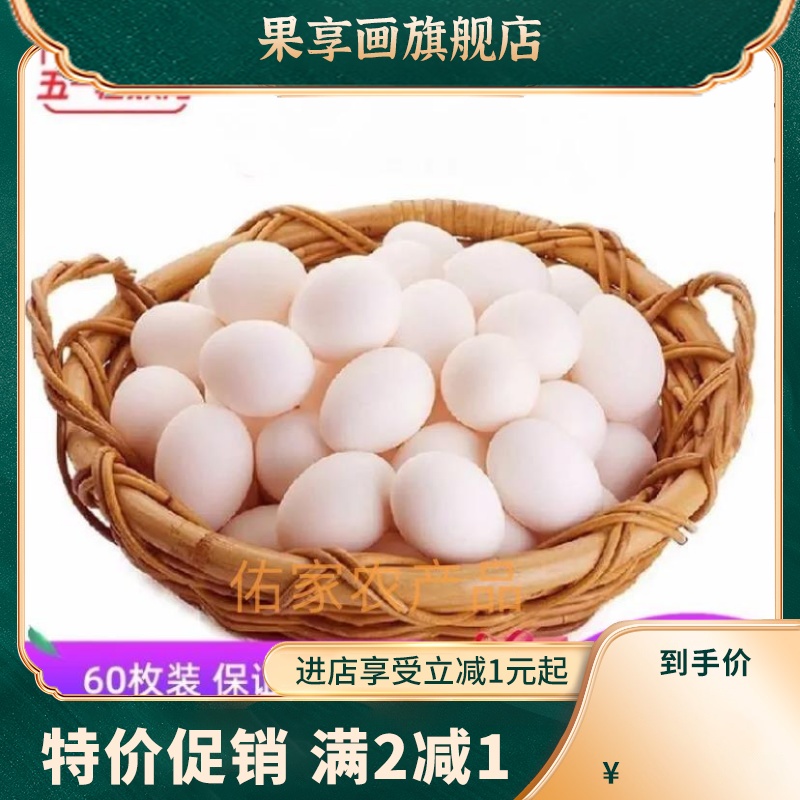 新鲜鸽子蛋60枚圆通包邮优质散养土鸽蛋孕婴营养辅食五谷杂粮喂养