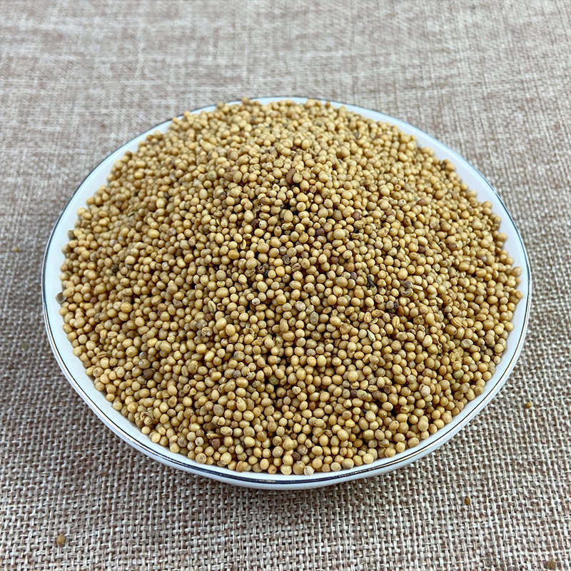 材黄芥子芥菜籽青菜子白芥子调味品芥末大货籽类