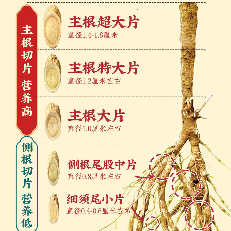 黄芪片罐装无硫甘肃黄芪斜片岷县北芪材泡水汤料特片道地
