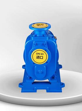 厂家现货吸泵自稳BZ直联式铸铁抽水机定耐445用强离心劲泵农用