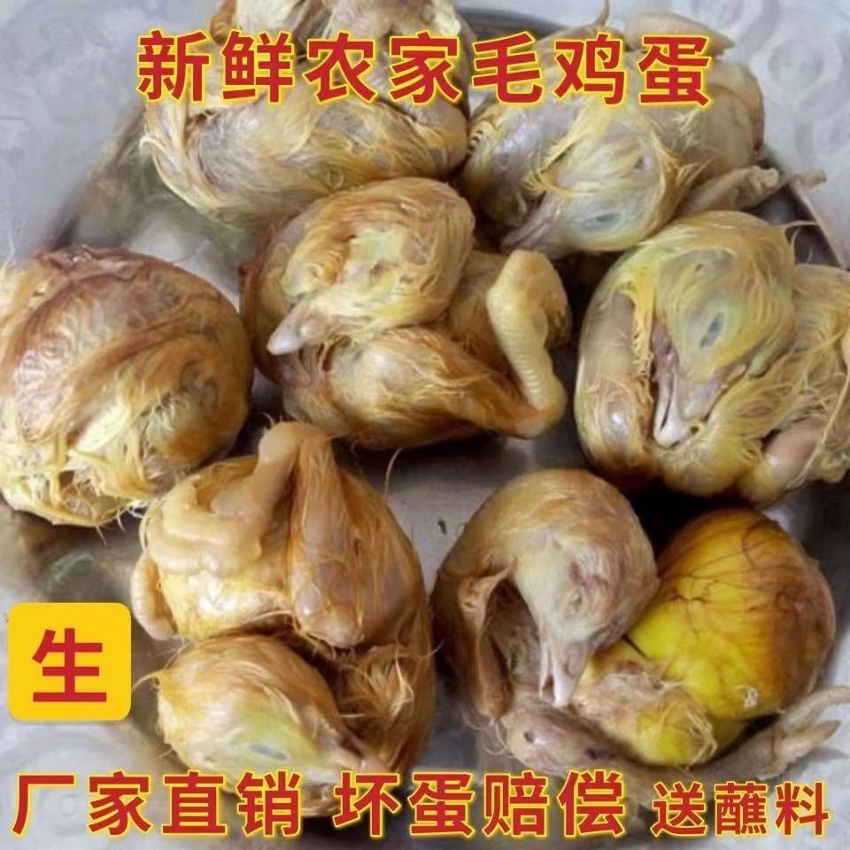 蛋鸡胚蛋新鲜8--21材天毛毛鸡蛋生1的喜蛋烧烤食全鸡带毛非活珠子