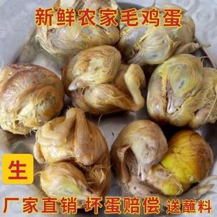 毛蛋鸡胚蛋新鲜18 喜蛋烧烤食材全鸡带毛非活珠子 21天毛鸡蛋生