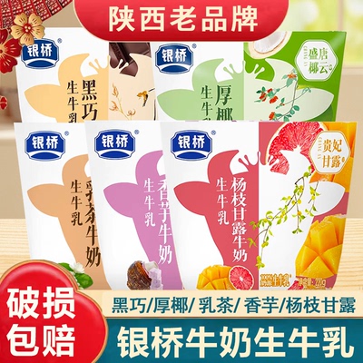 银桥牛奶生牛乳整箱装杨枝甘露黑巧早餐牛奶饮品儿童学生营养牛奶
