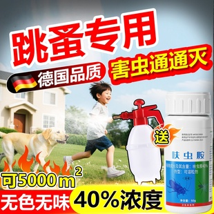 跳蚤药大面积杀专用农村家用高效去除鸡床虱子臭虫跳蚤喷雾杀虫剂