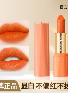 胡萝卜正橘色口红橙色素颜哑光雾面黄皮自然显白平价品牌官方正品