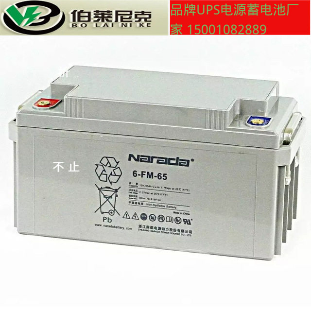 南都蓄电池12V200AH 6-FM-200 免维护直流屏太阳能路灯船用电瓶