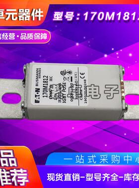 170M1812170M1813170M1824170M1825170M1826巴斯曼快速熔断器