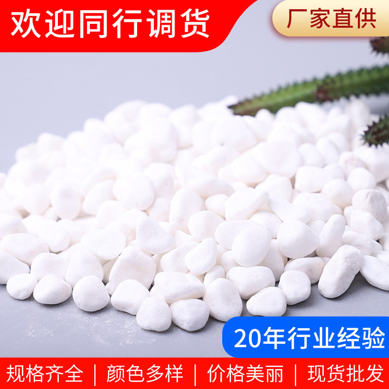 白色鹅卵石雪花白 园林造景园艺景观白色小石子盆栽多肉铺面石头