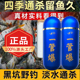 一管爆小药主播同款 通用野钓黑坑狂钓巨物鲫鲤青饵窝料 高浓缩四季