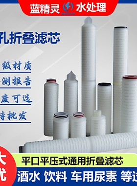 微孔折叠滤芯01微米聚丙烯pp酒水饮料车用尿素精密过芯四氟膜10寸