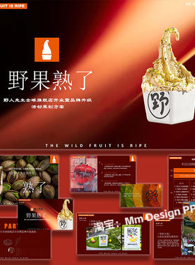 冰淇淋品牌旗舰店开业暨品牌升级活动策划方案案例素材PPT