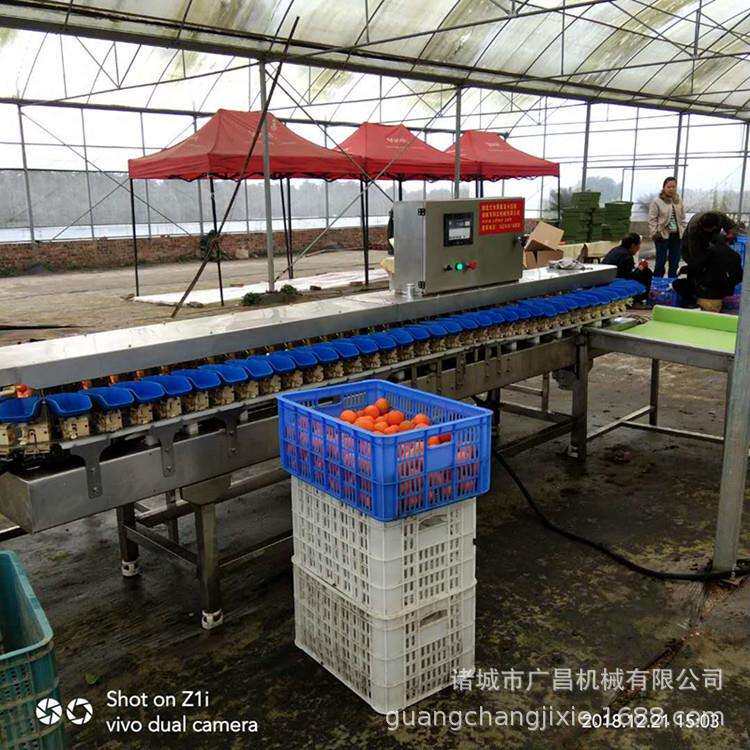 海产品重量分选机价格海鲜自动分级机--山东广昌机械