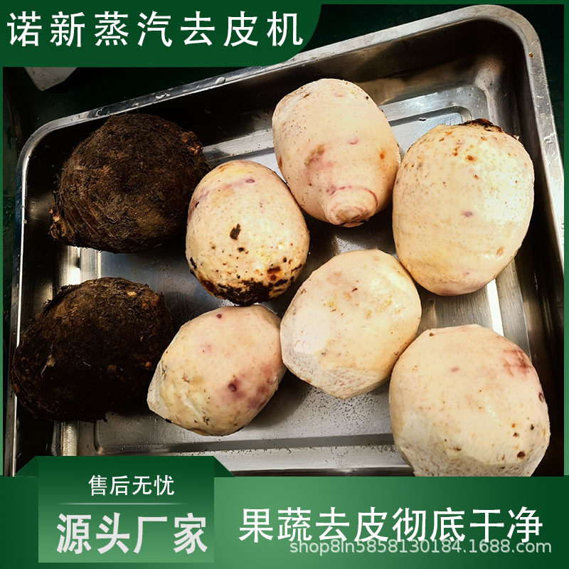 诺新机械大芋头蒸汽去皮机