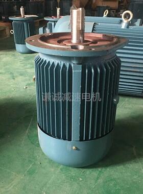 江门江晟三相电动机JYP2/JS-160M-4极11KW转速1450/380V立式卧式