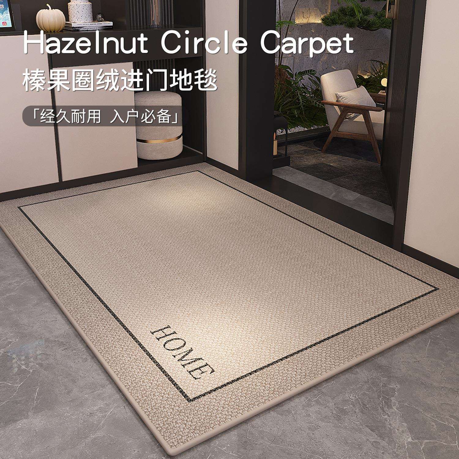 入户门地垫进门垫简约大门口脚垫2024新款玄关地毯客厅防滑垫耐脏