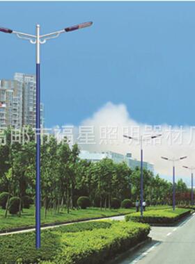 公园广场4~12M道路照明路灯250W双杆双臂灯led道路照明灯定制